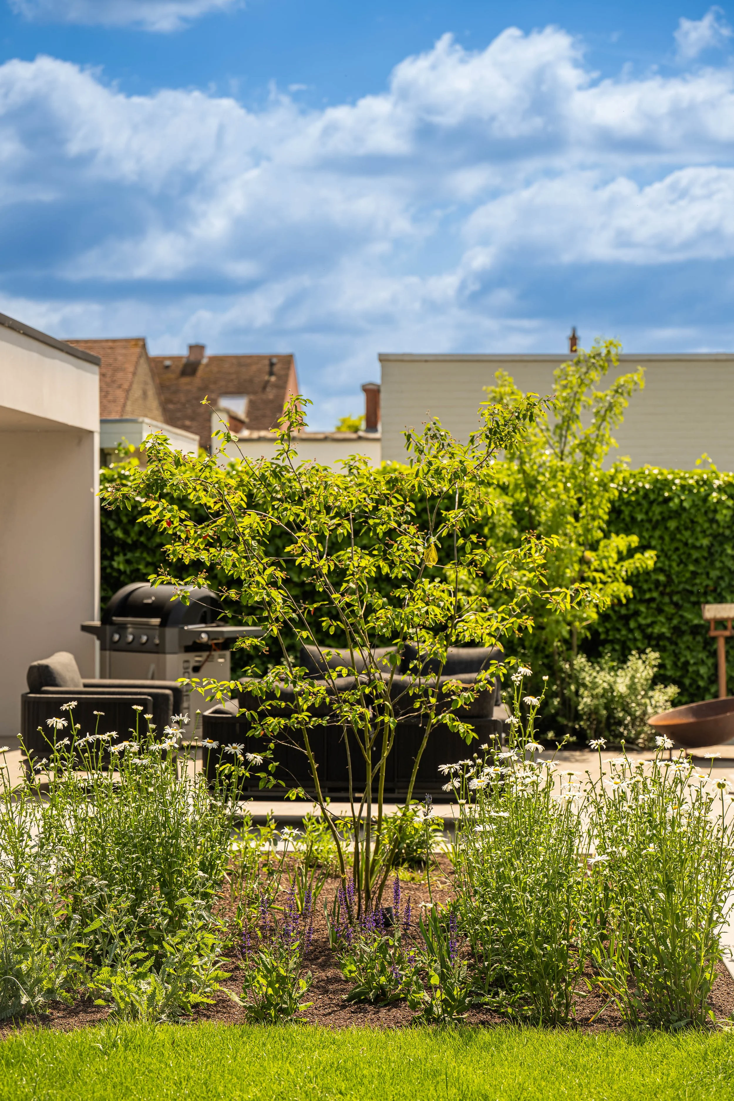 Foto tuin design tuinarchitect Wevelgem prairie 2