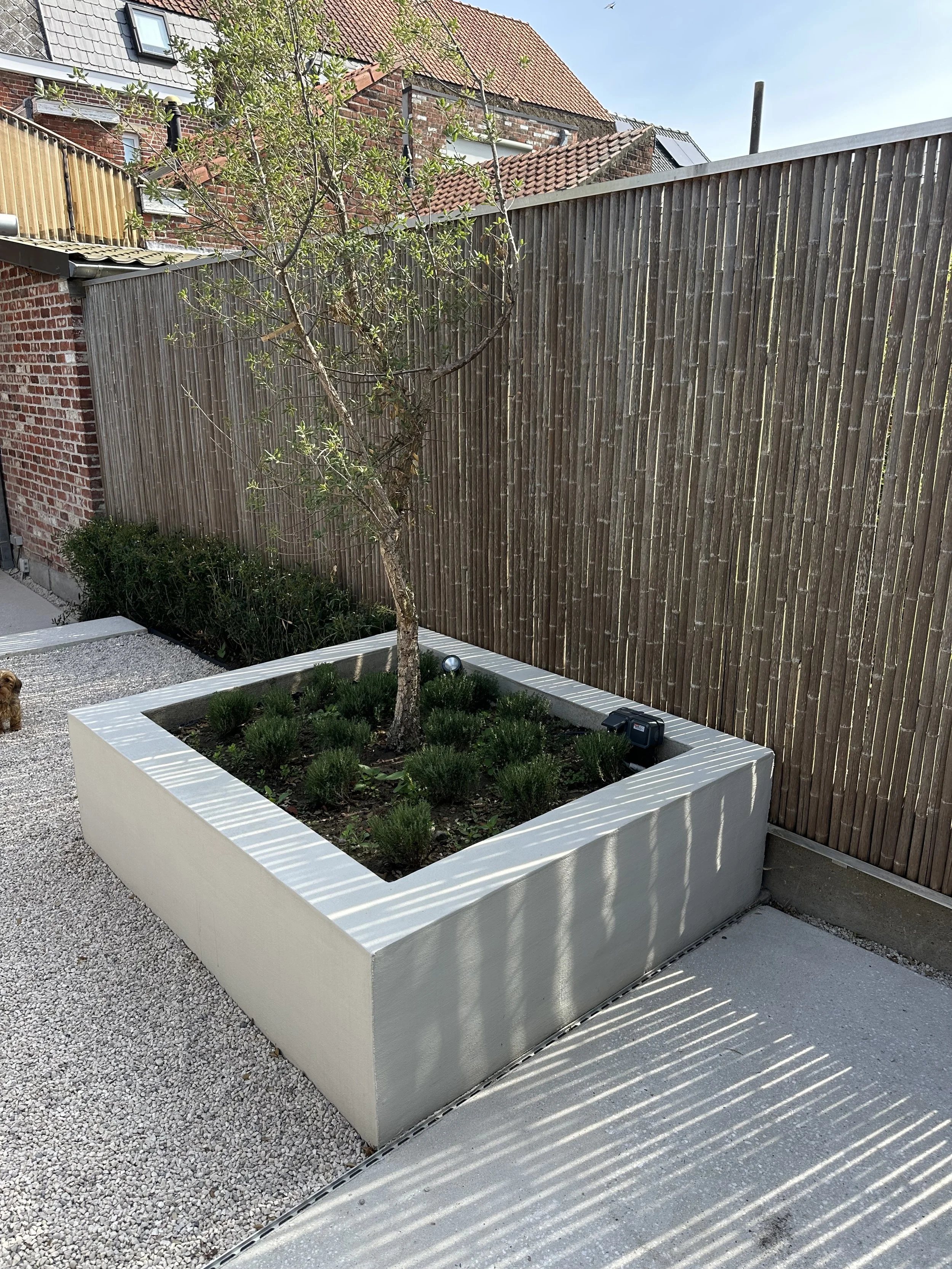 mediterraanse stadstuin te Roeselare tuinarchitect Sébastien Decock