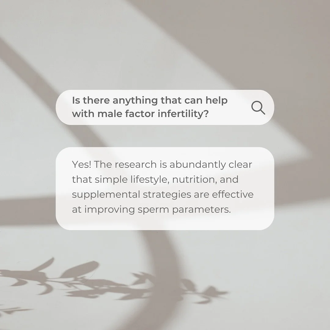 Last week I received an email from a prospective client asking if I had any experience working with male factor fertility &ndash; the answer is a resounding yes! ⁣⁣
⁣⁣
There are many parameters of sperm health that we look at such as⁣⁣
🐟Sperm count⁣
