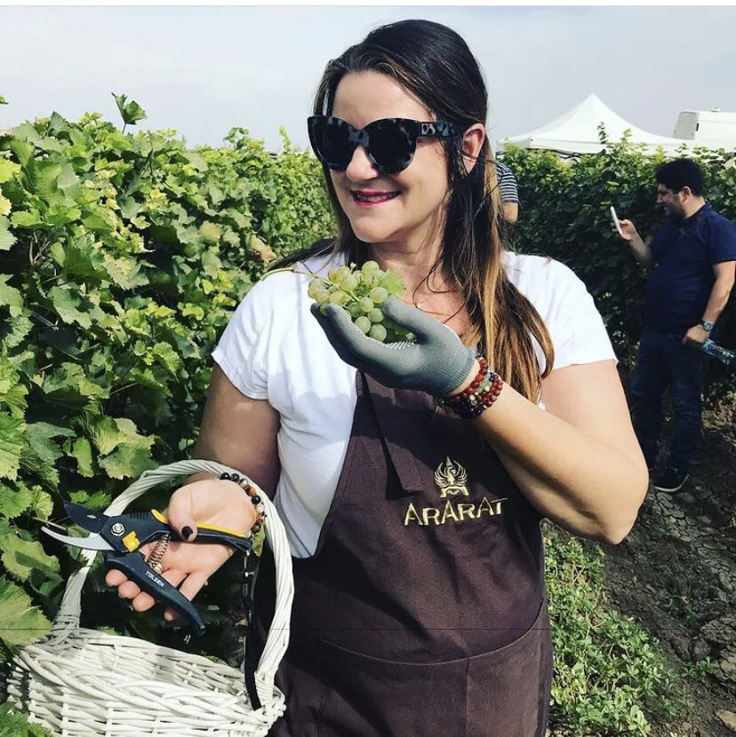 Ararat Brandy Harvest