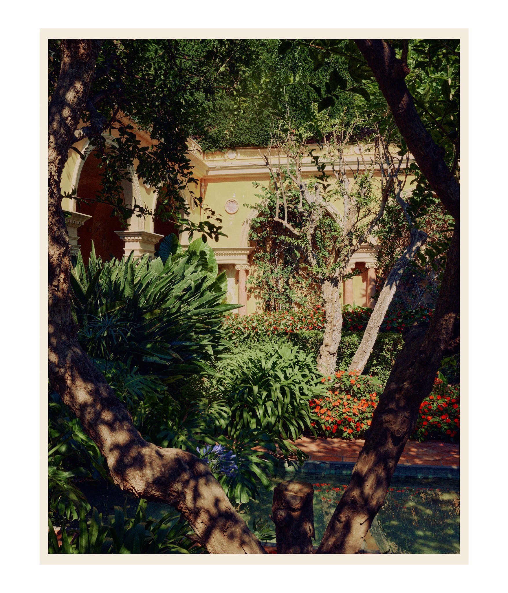 Site web 233.jpg