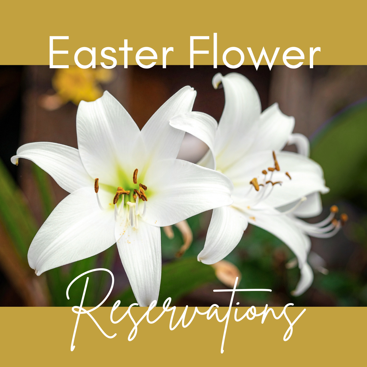 Easter Flower Reservations