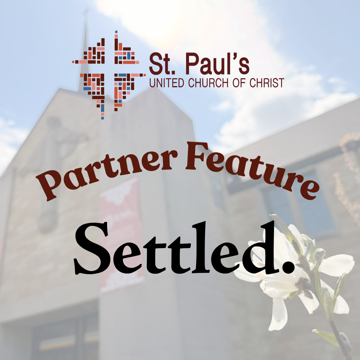 Partner Feature: Settled.