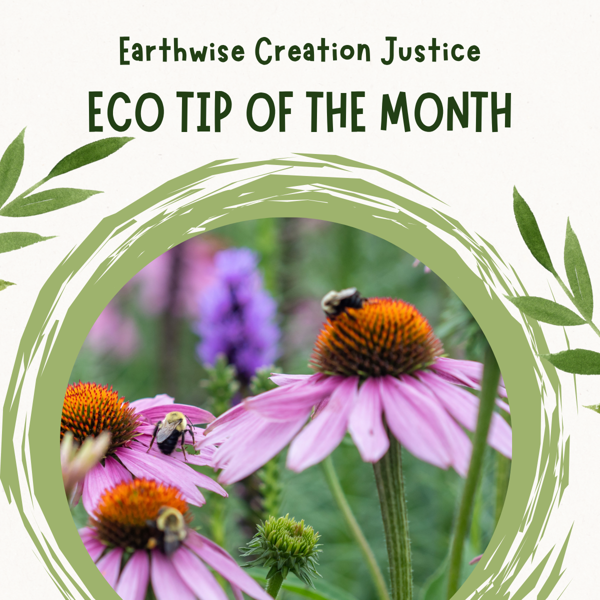 🐝 Help Pollinators with a Beautiful Garden