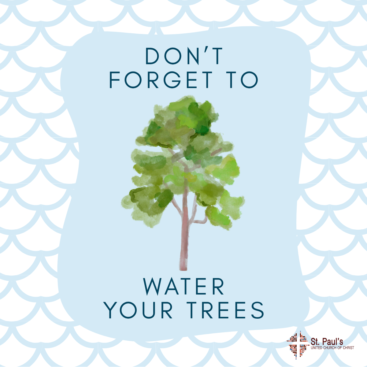 🌳💧Don’t Forget to Water Your Trees!