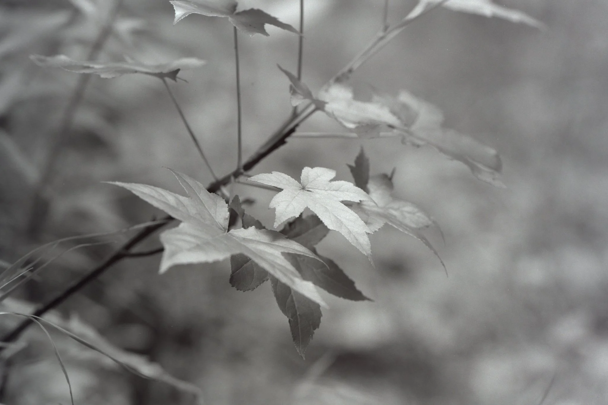 261012_Portfolio_small_016.jpg