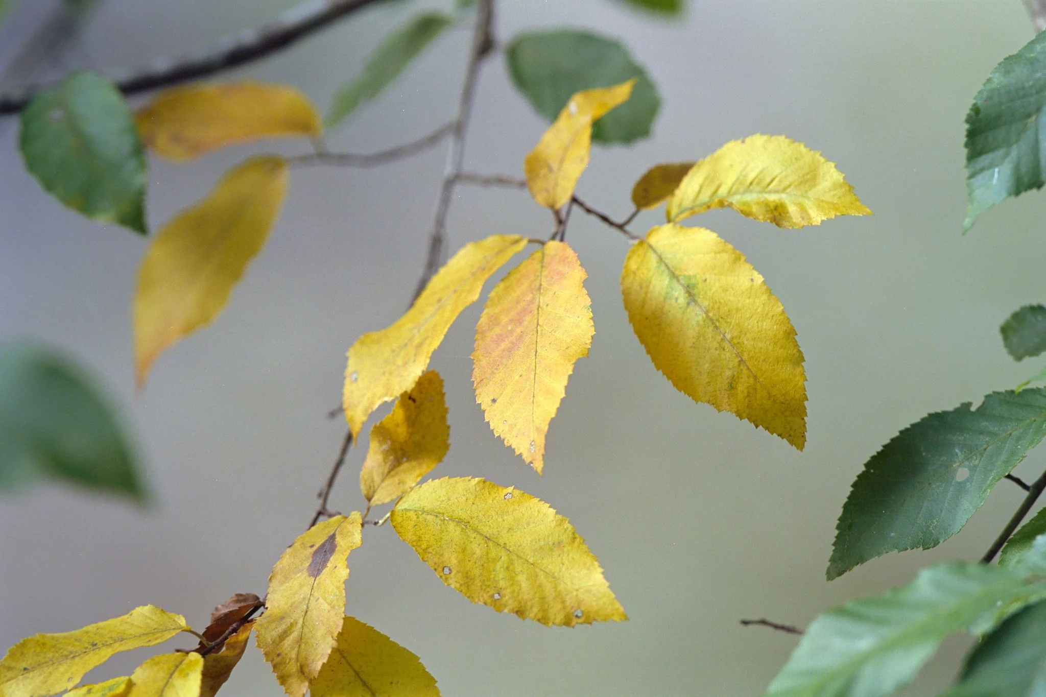 261012_Portfolio_small_019.jpg