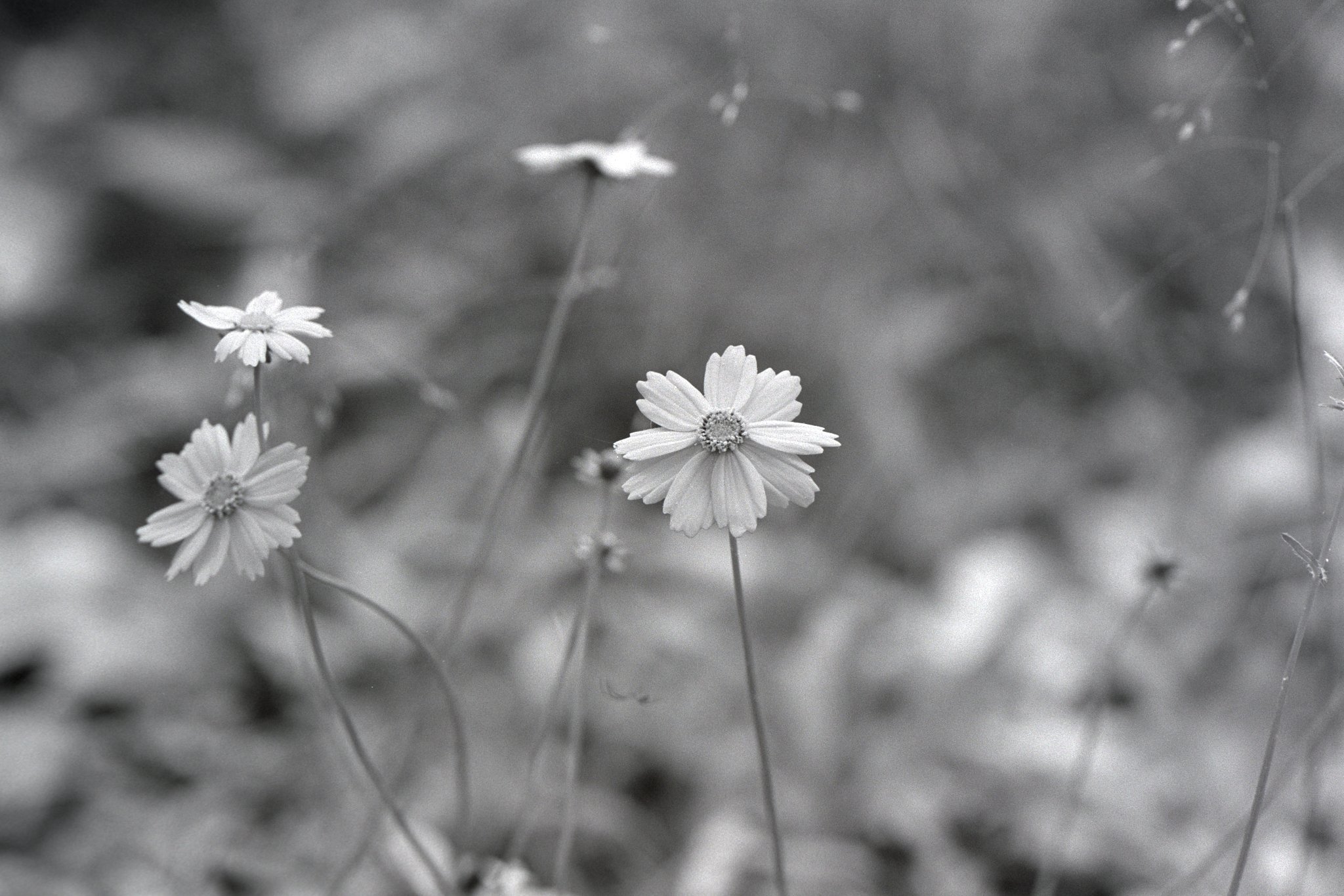 261012_Portfolio_small_011.jpg