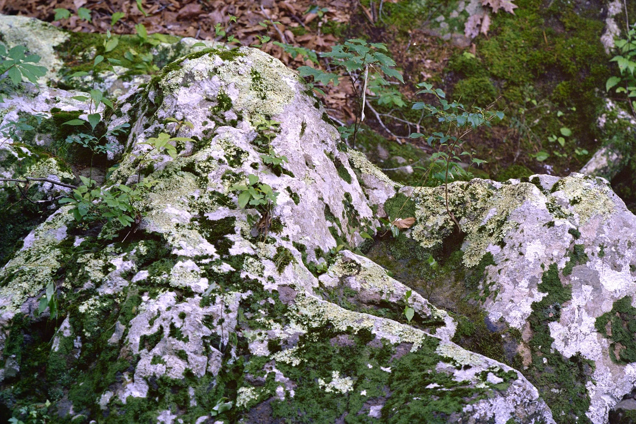 261012_Portfolio_small_033.jpg