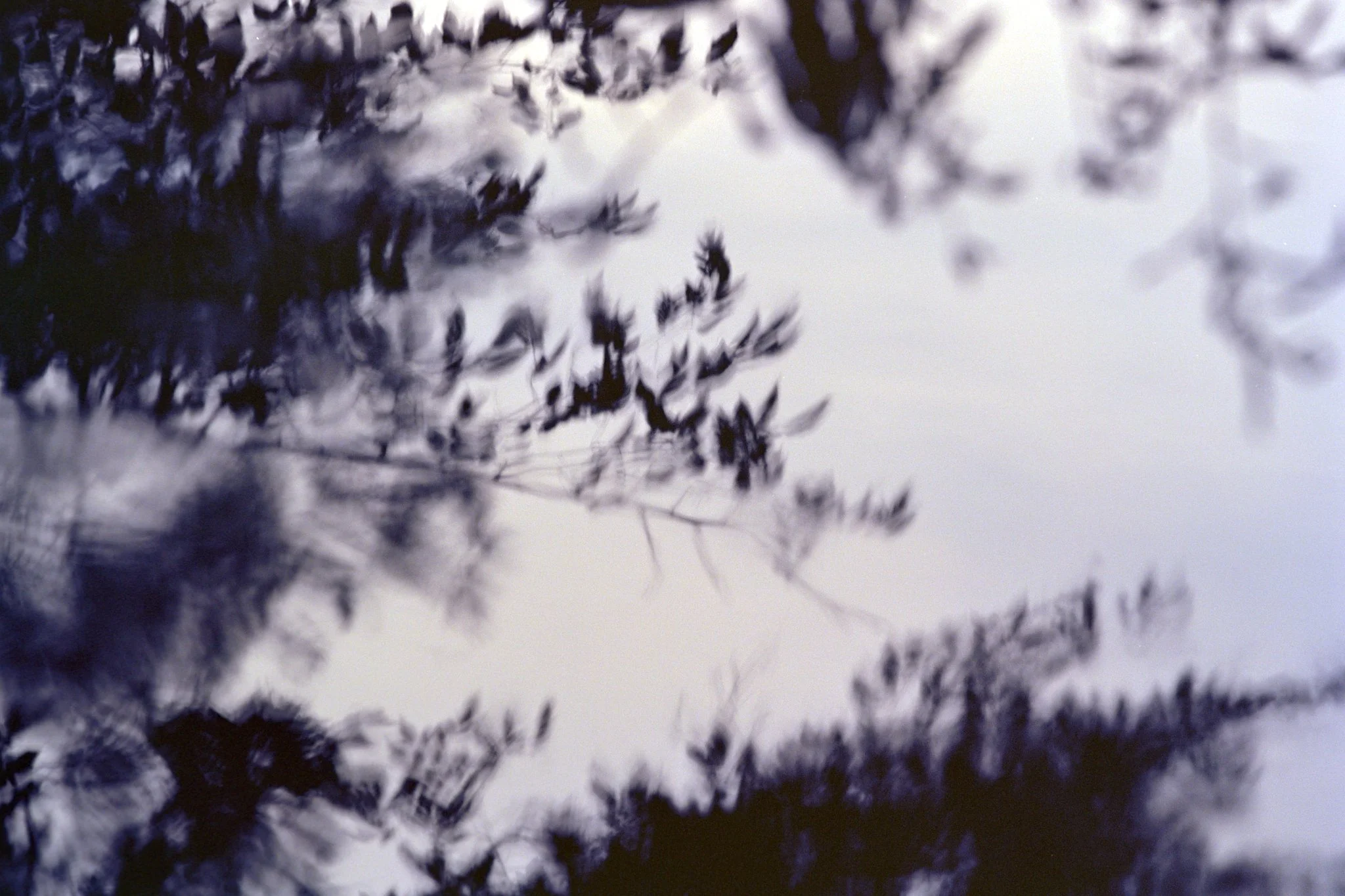 261012_Portfolio_small_020.jpg