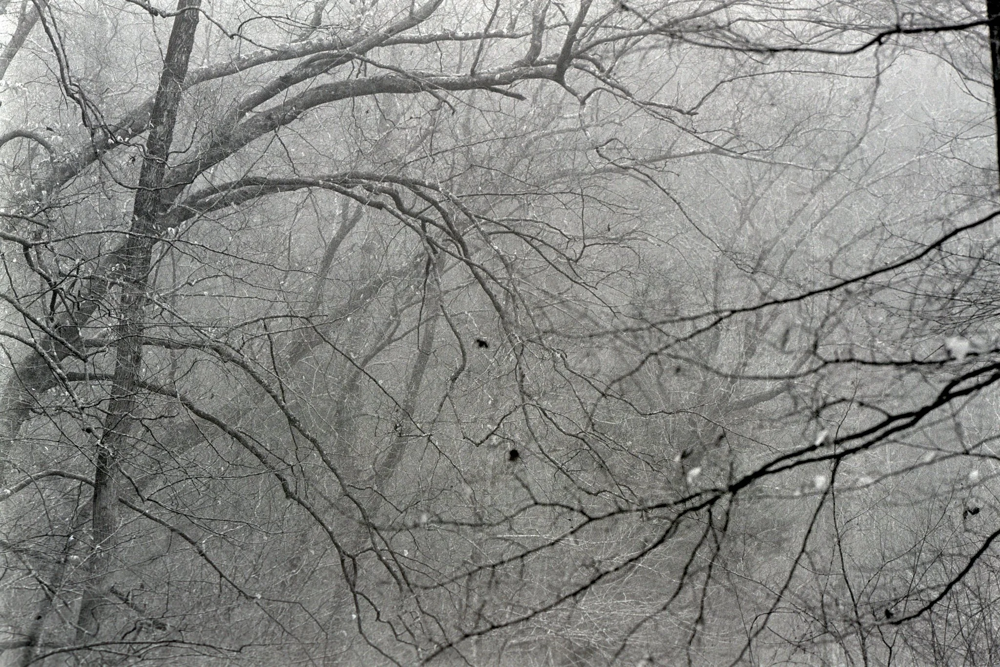 260629_Negatives_small_002.jpg