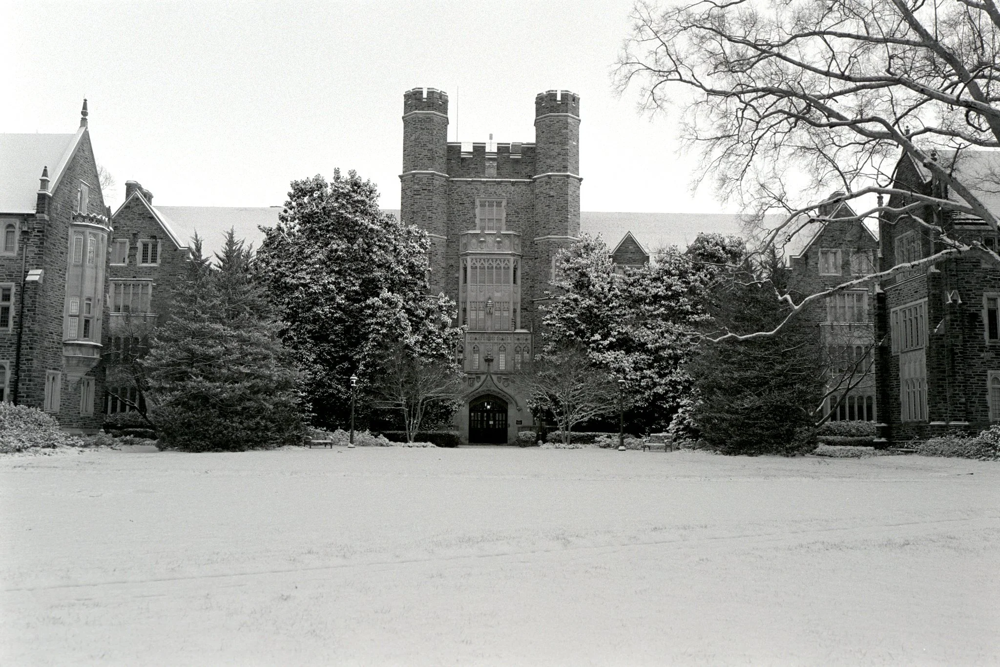 260629_Negatives_small_047.jpg