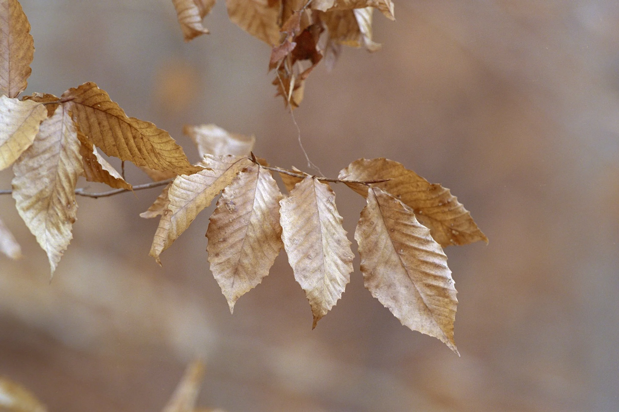 261012_Portfolio_small_040.jpg