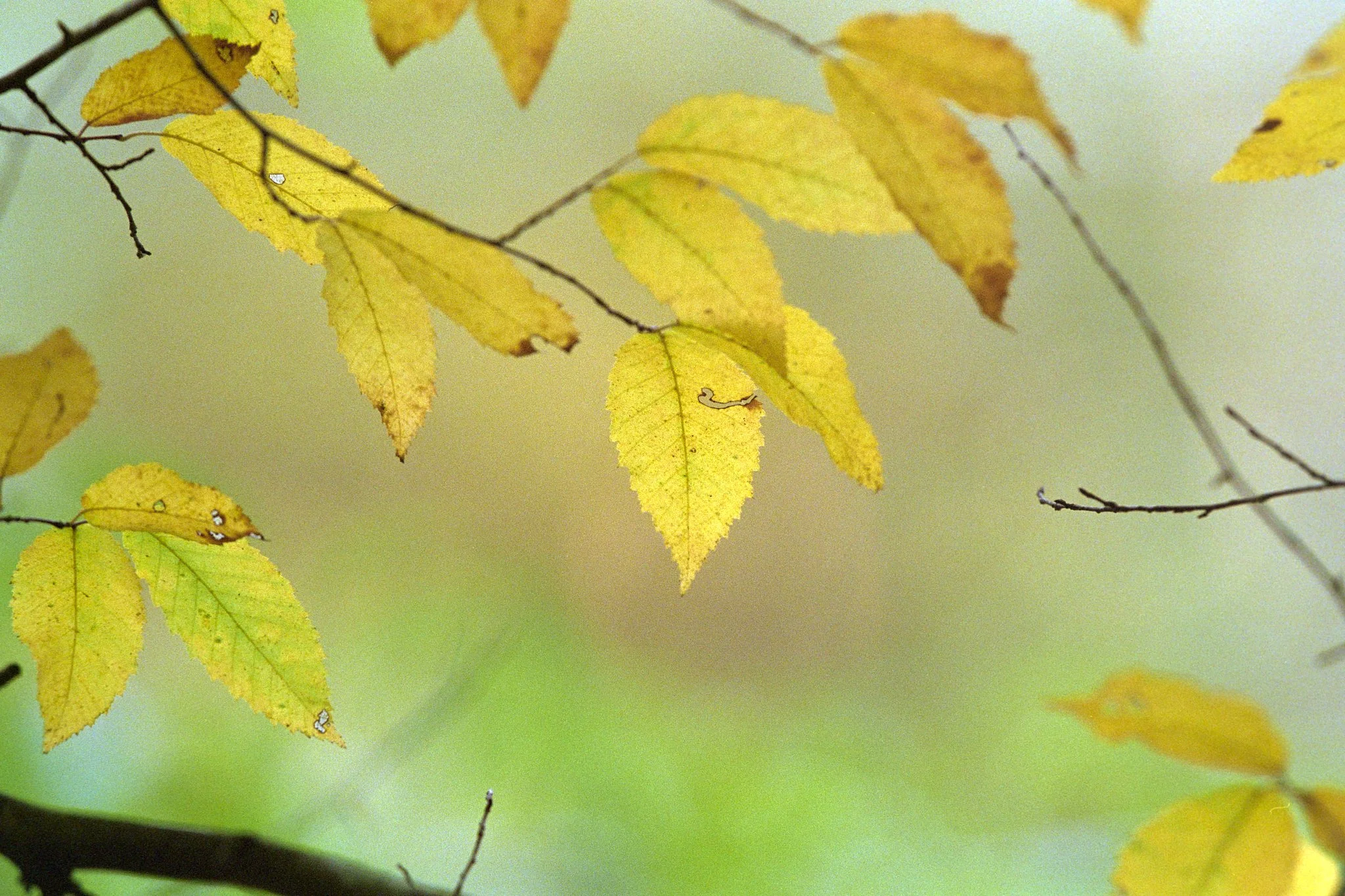 261012_Portfolio_small_021.jpg