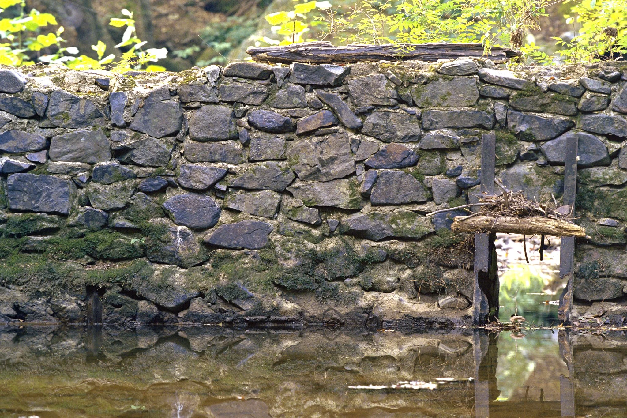261012_Portfolio_small_037.jpg