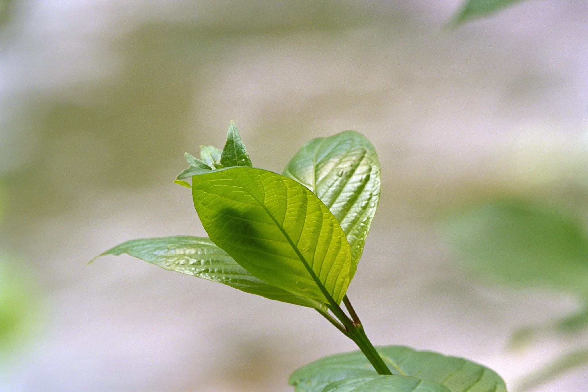 261012_Portfolio_small_015.jpg