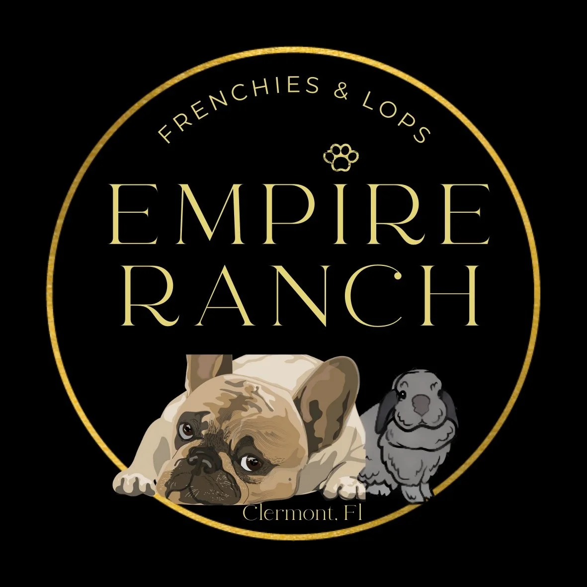 Empire Ranch Frenchies Clermont Florida Breeder