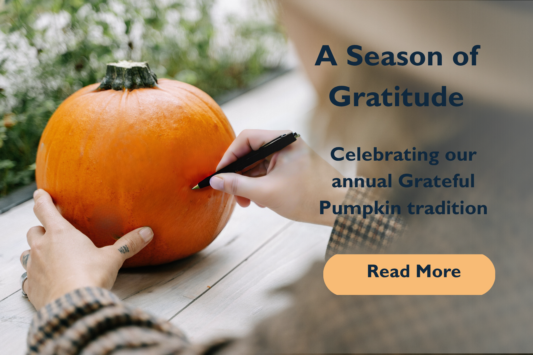 A Season of Gratitude