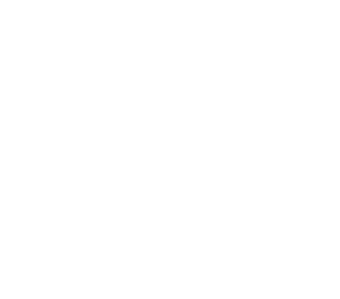 The Holliday Collaborative Agency