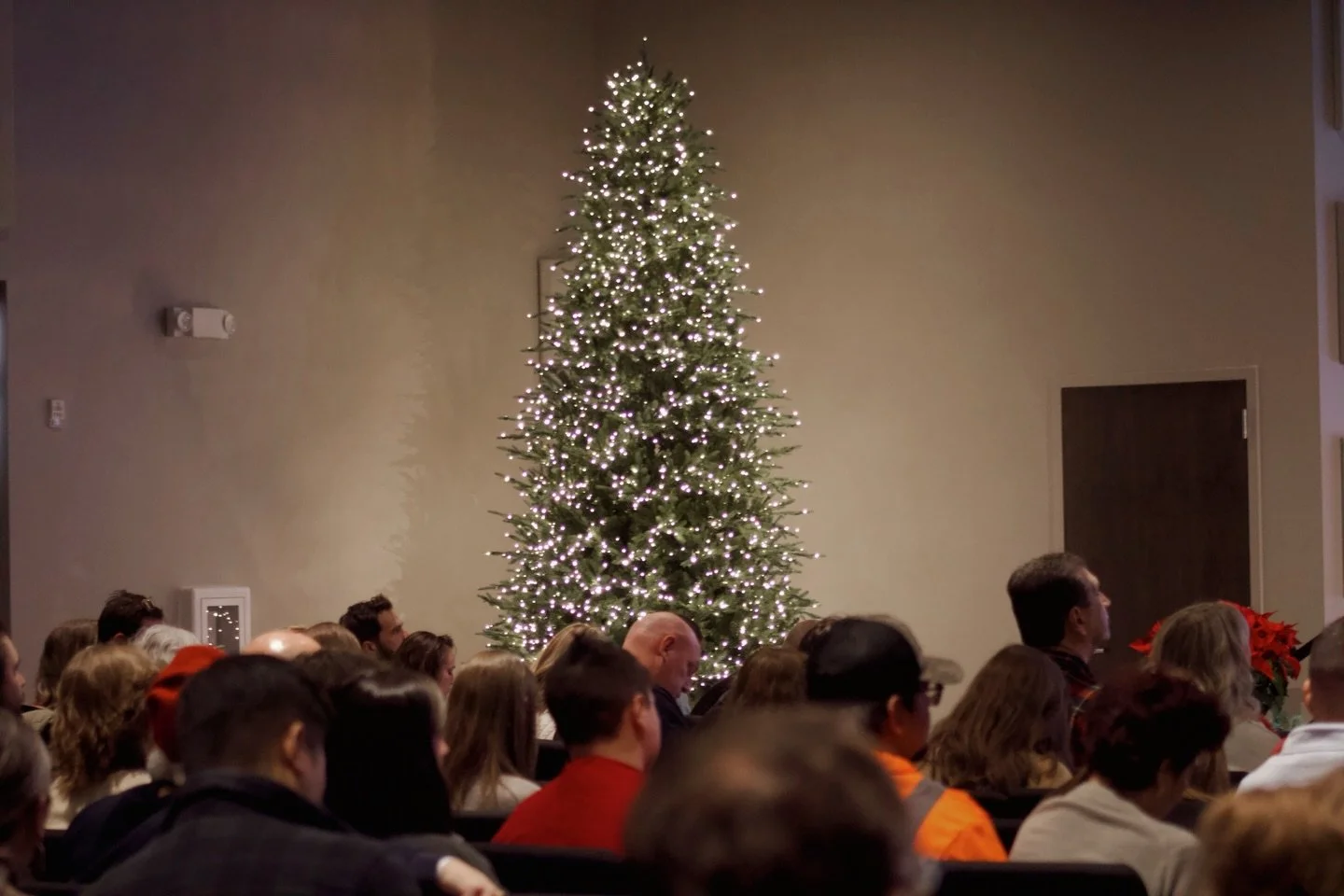 Joy to the world, the Lord has come!!! 

We&rsquo;re thankful today that Jesus came to save us! He is joy, He is peace, He is the One True Mighty God! Merry Christmas❤️

#Jesus #Christmas #God #Christian #Church Family Lifehousechurch Springhilltn Fy