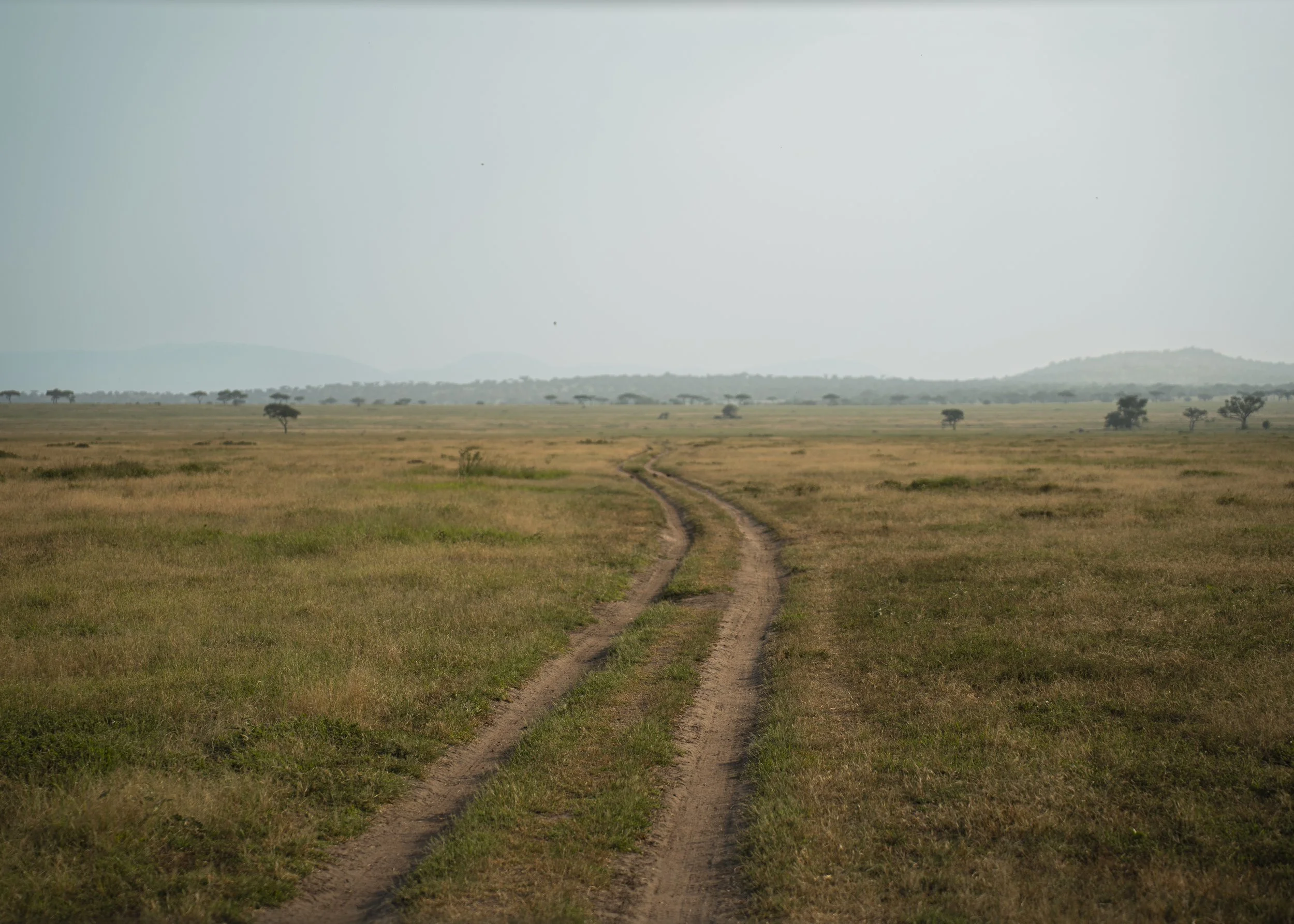 Singita-06973.jpg