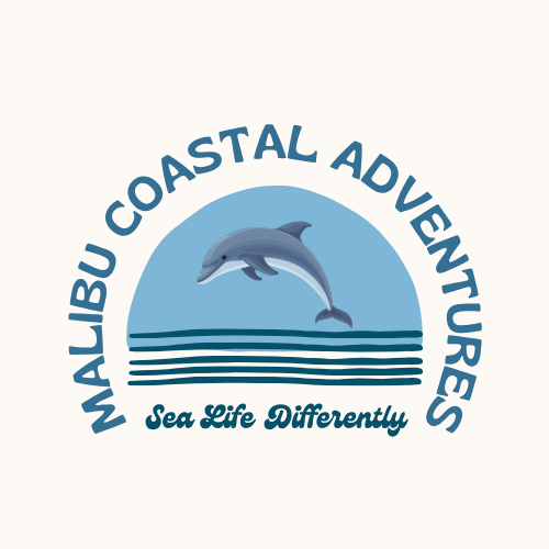 Malibu Coast Adventures w Large Dolphin.png