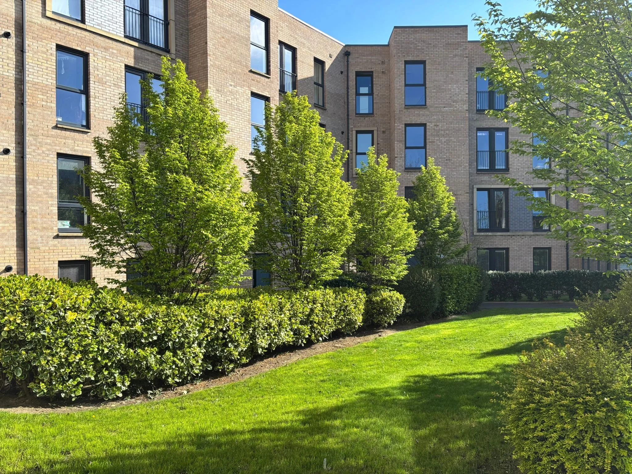 WhatsApp Image 2026-04-23 at 11.07.07 (3).jpeg