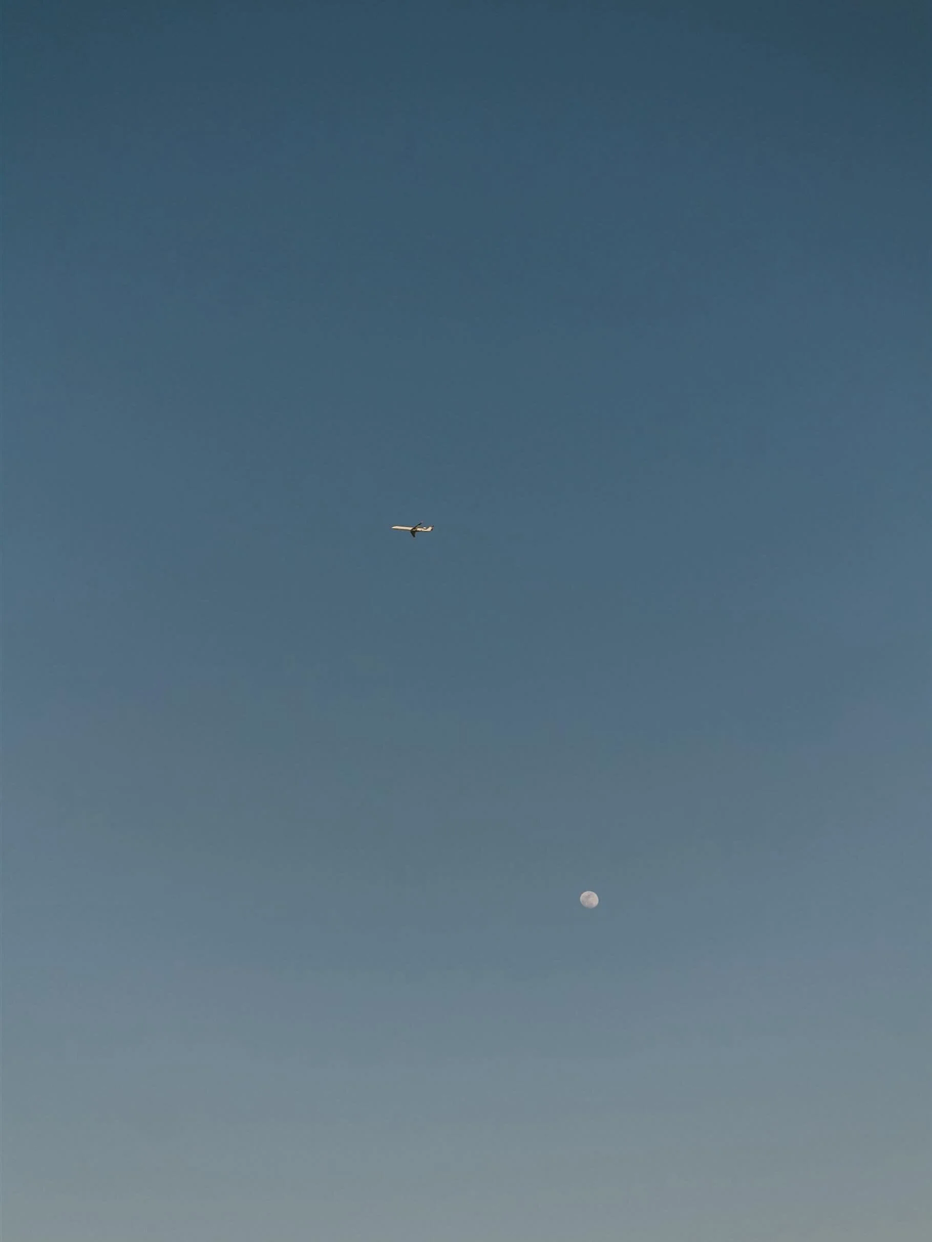 Flying to summer season.