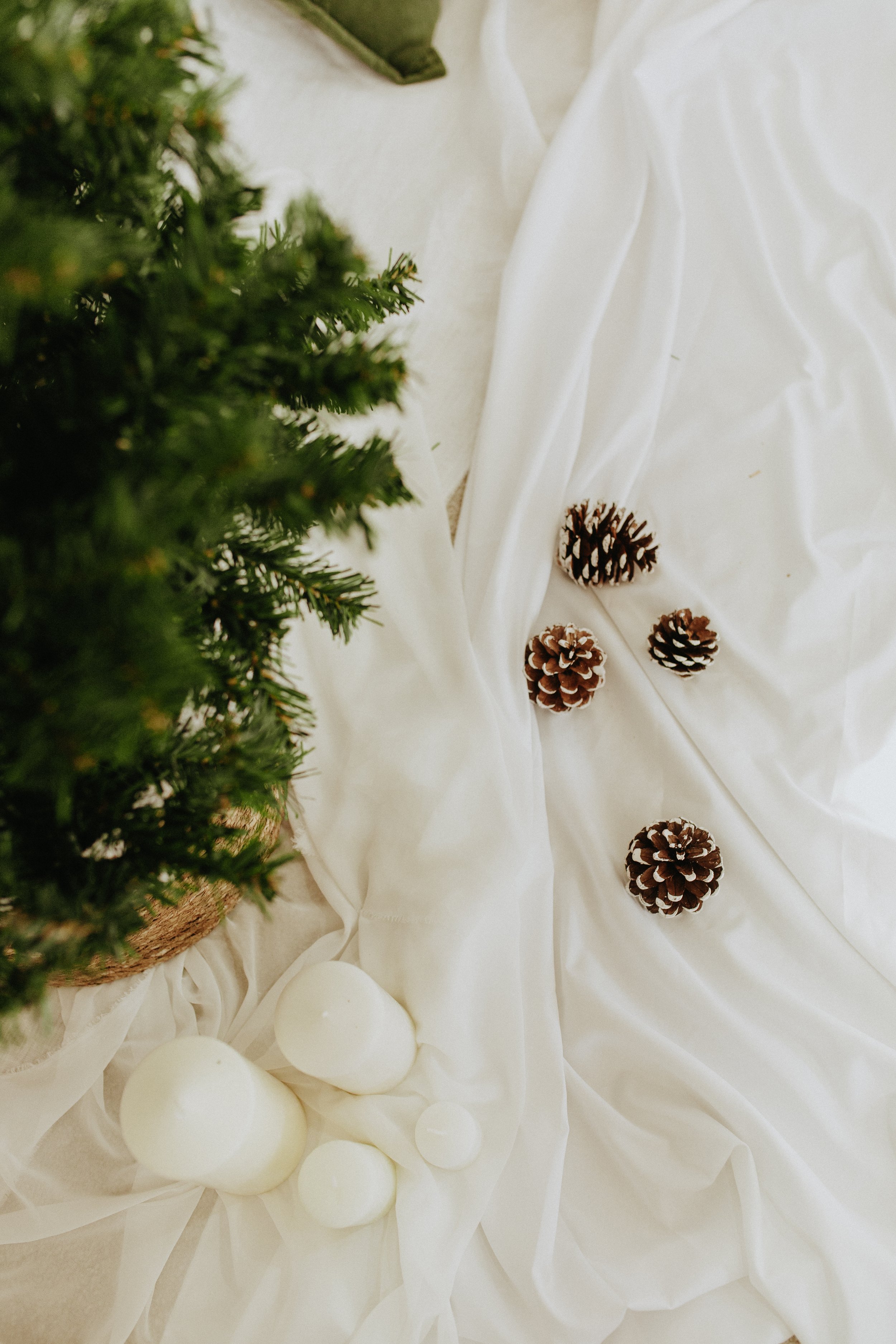 Natal24-6.jpg