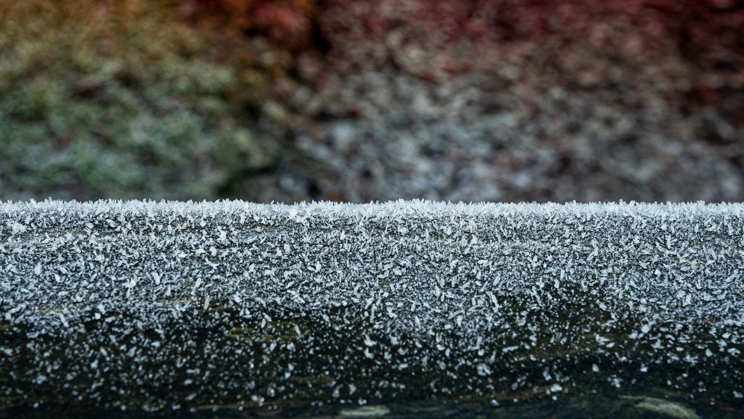 Winter Shoot Lurgan Lake - A73 - 2022-289-2.jpg