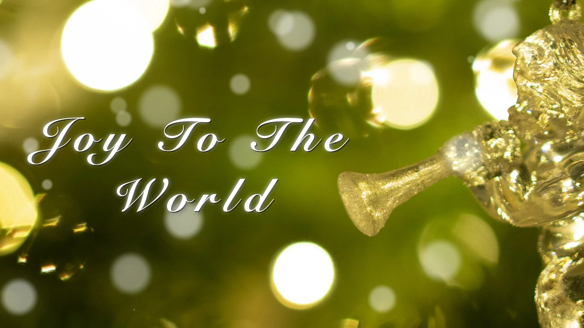 Bokeh - Joy To The World - Still Text.jpg