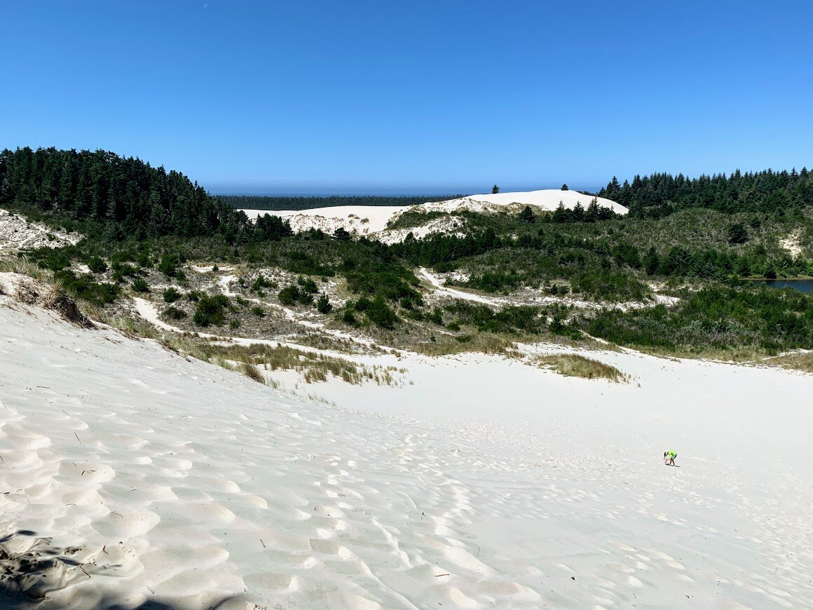 Oregon Dunes at Honeyman State Park