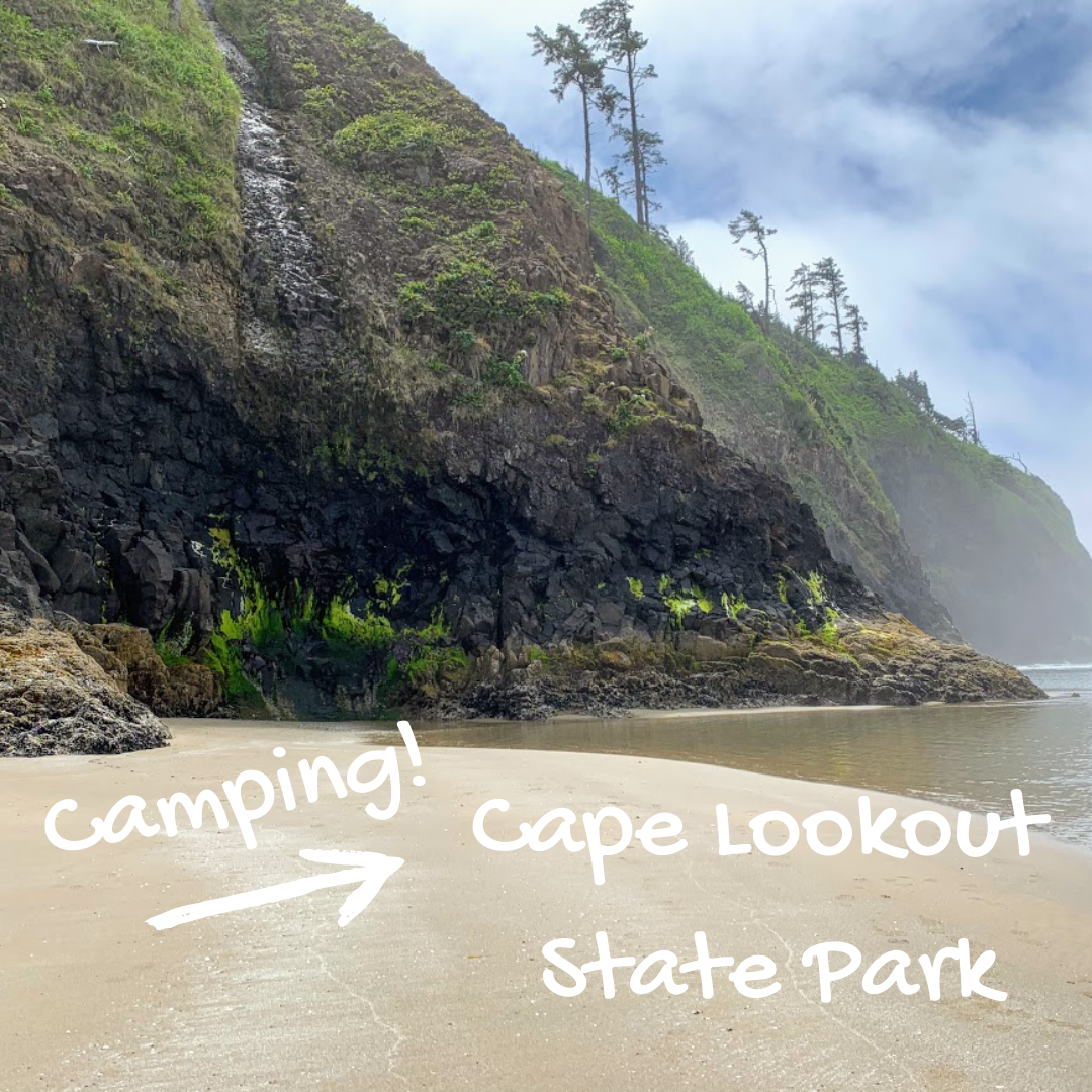 cape lookout new.png