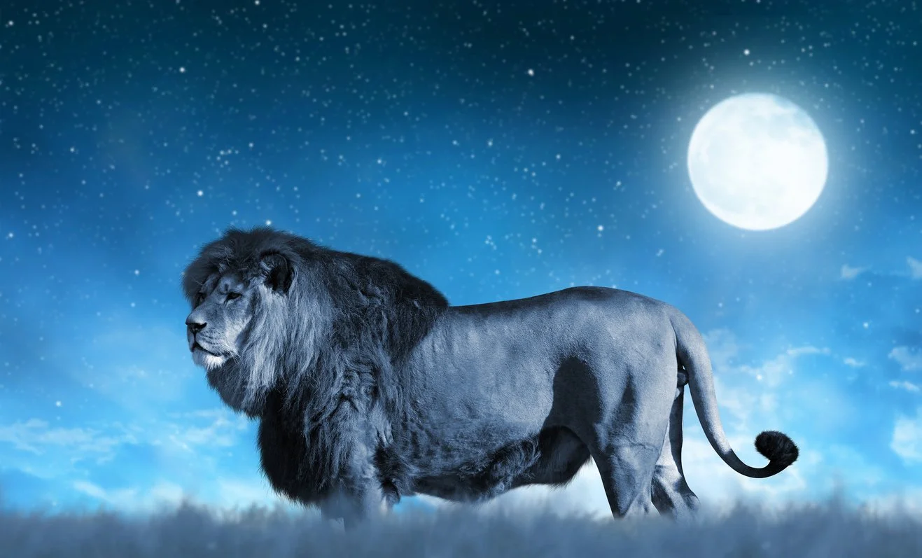 Connect with the Full Moon in Leo