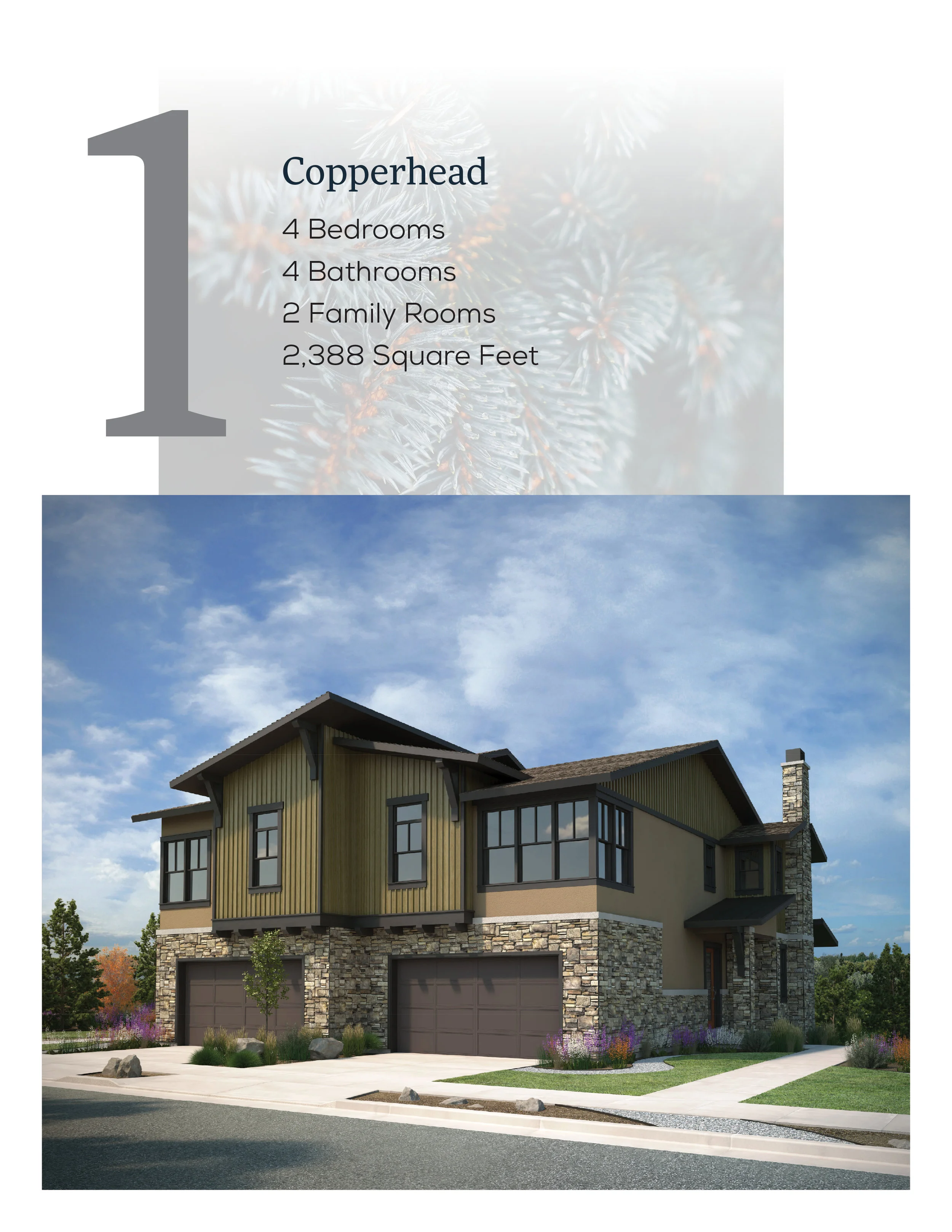 DWR Copperhead Unbranded .jpg