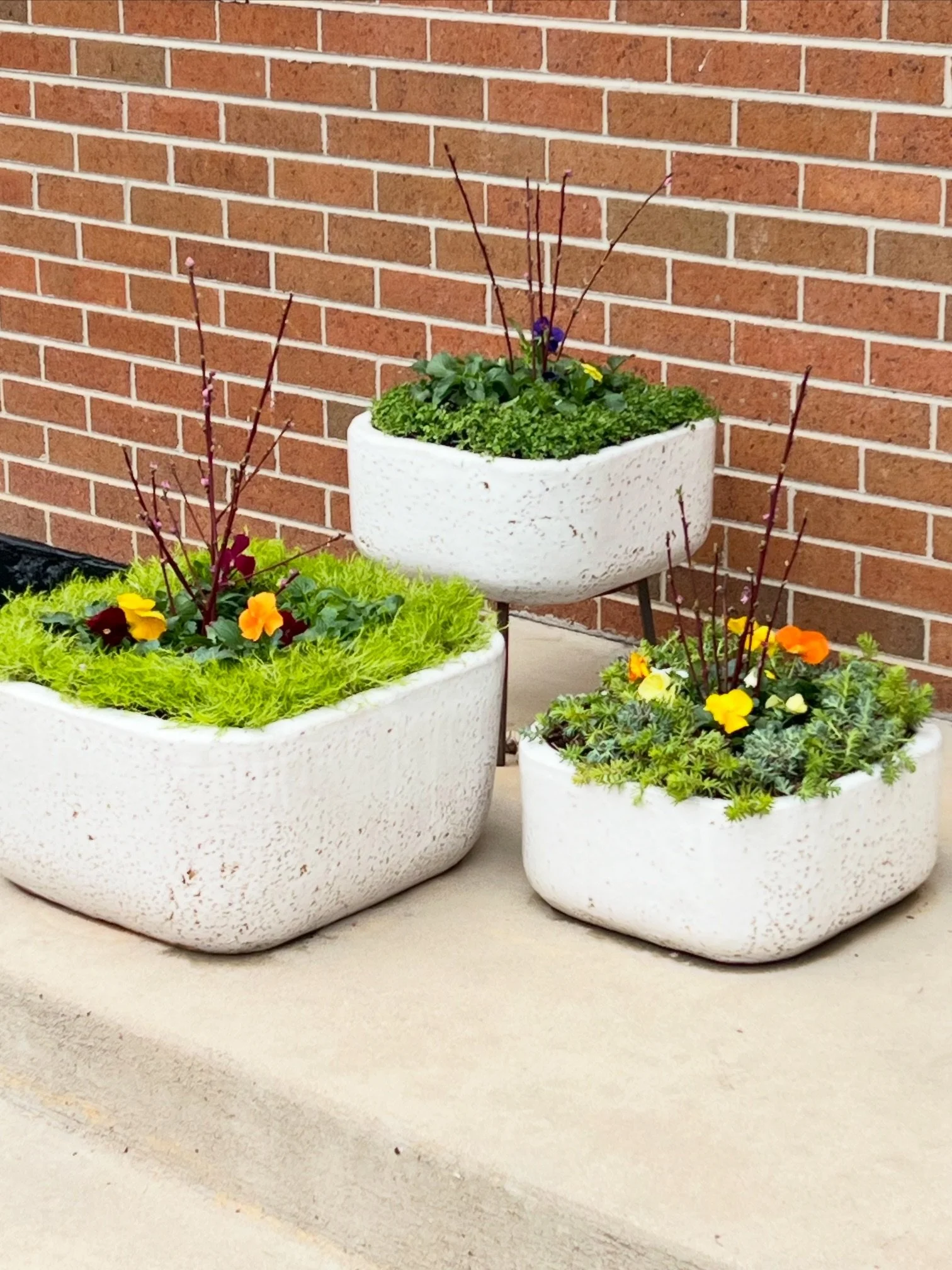 706E02D0-D012-4CBC-A55B-E63DD05BEA19 (1).JPG