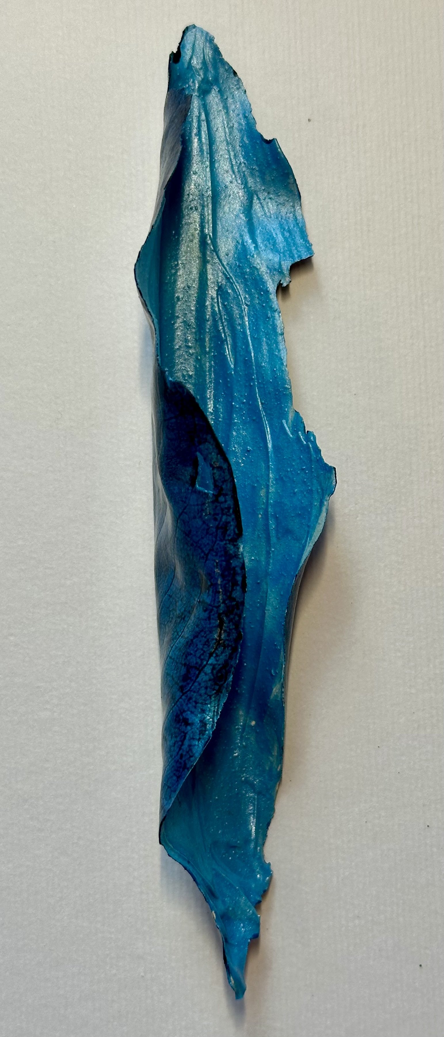 leaf-darkBlue 3a.jpeg