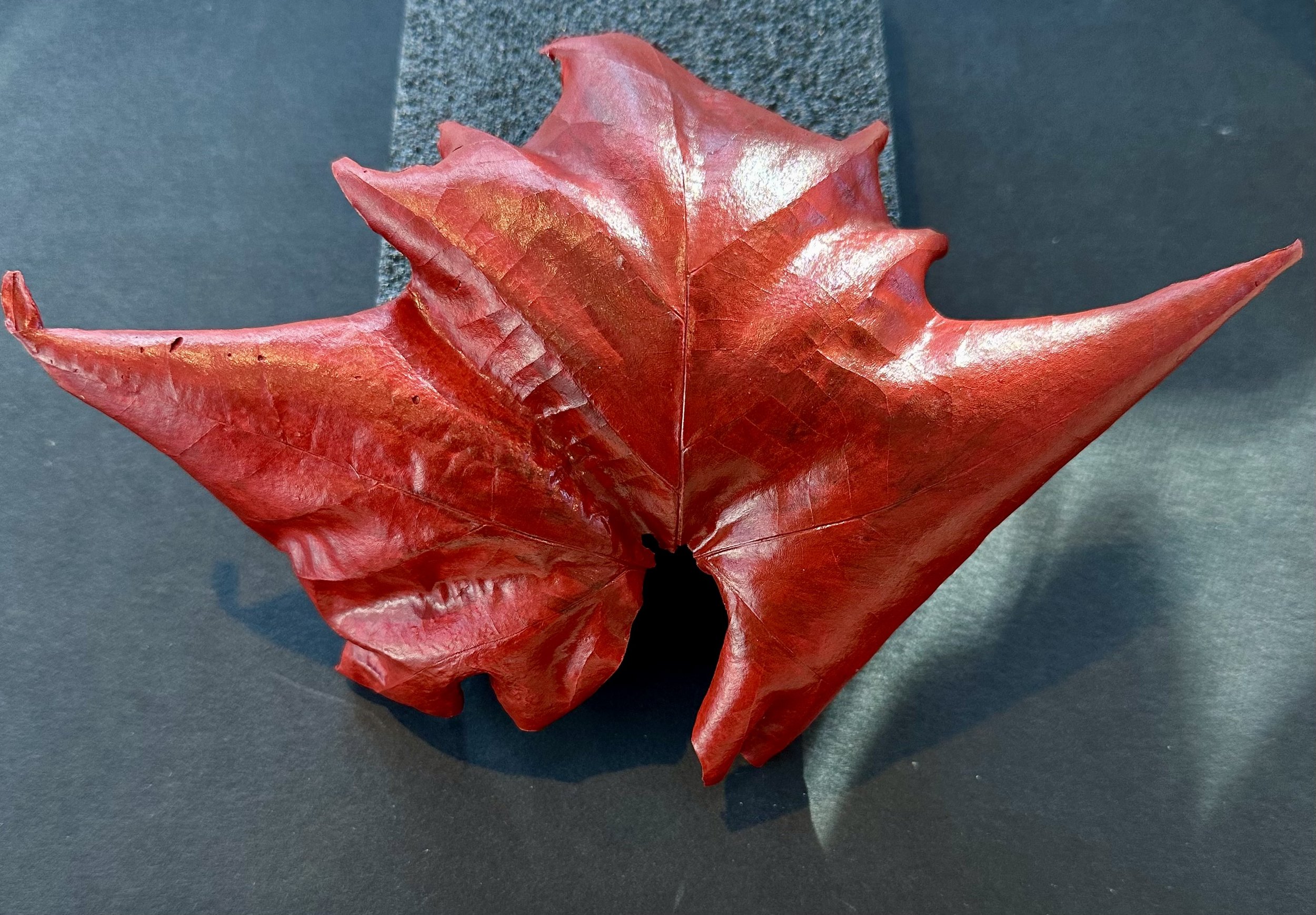 Maple leaf collected in Dover/MA. Clay with acrylic