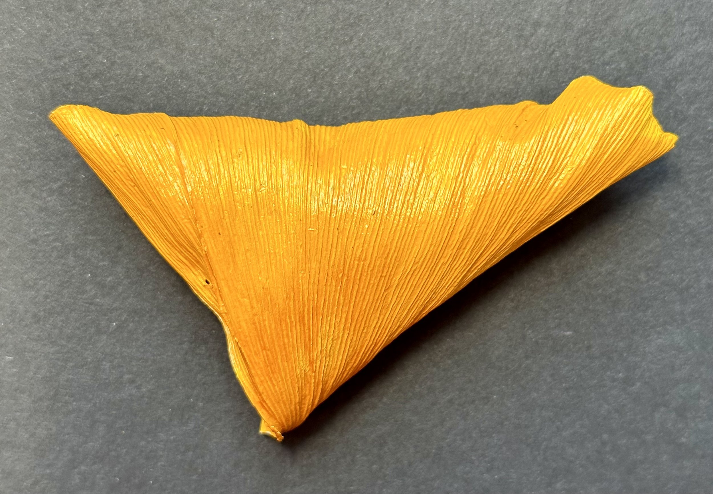 leaf-yelllow 1a.jpeg