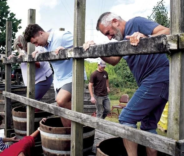 Grape Stomp!