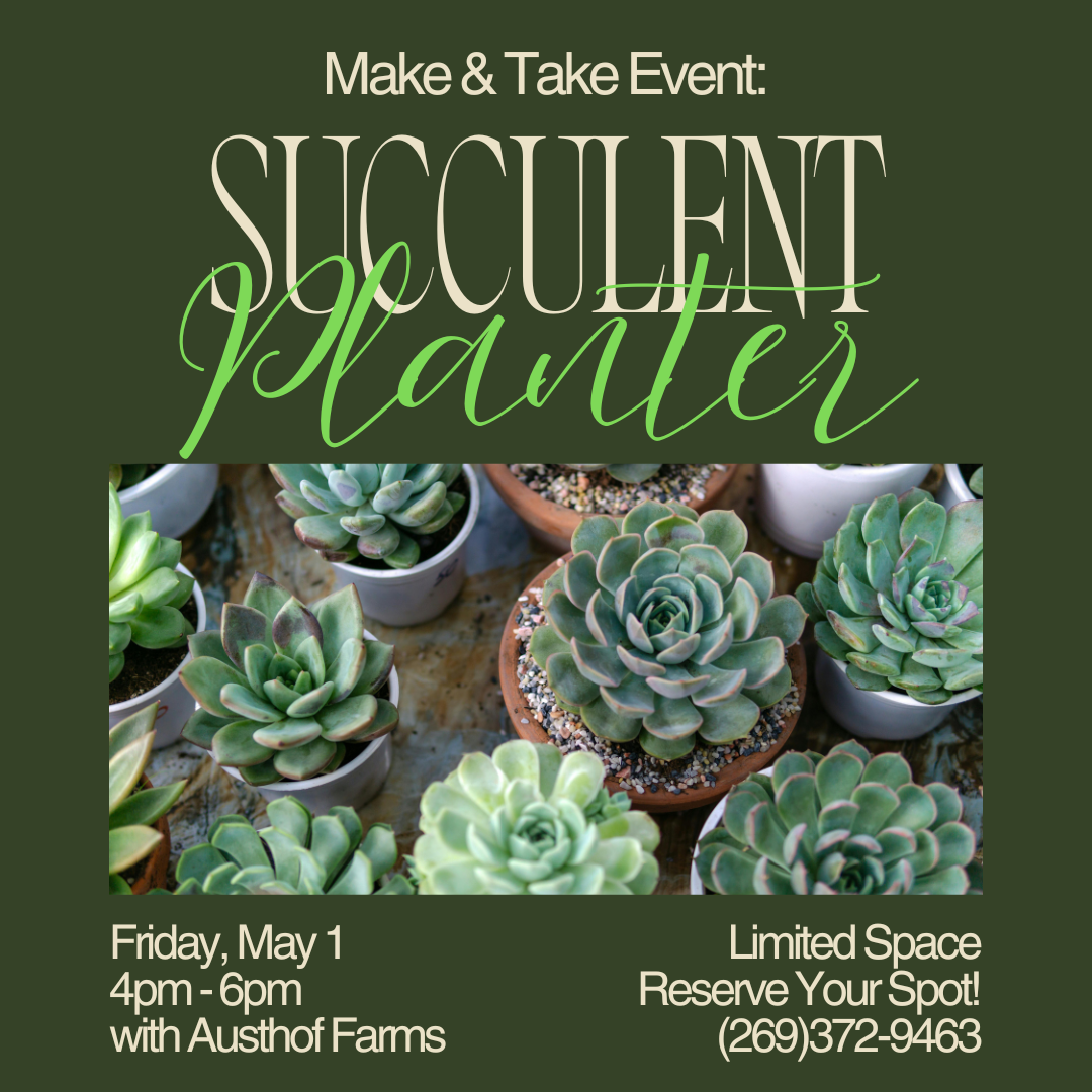 Succulent Planting Event