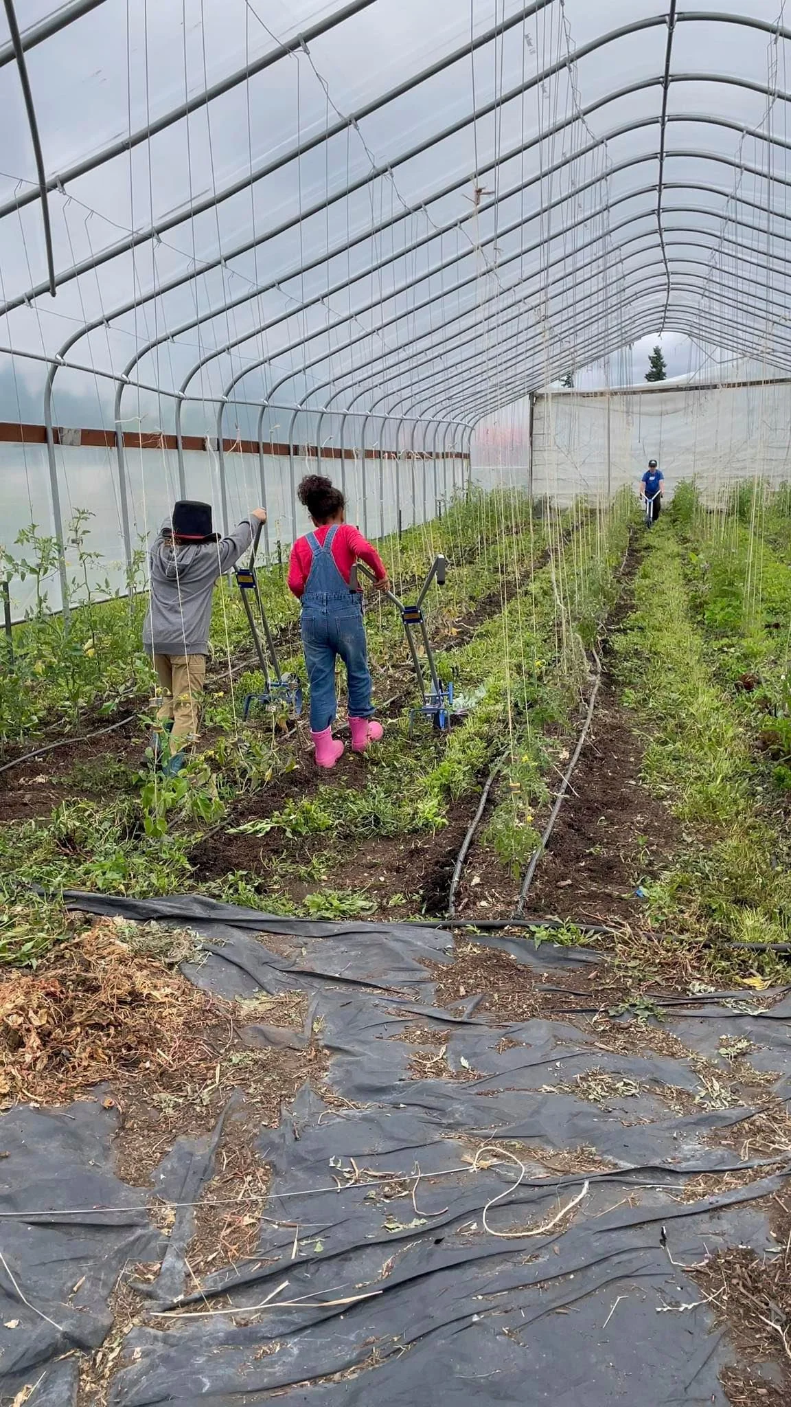 Cousin Collective Learning Landscape Workday