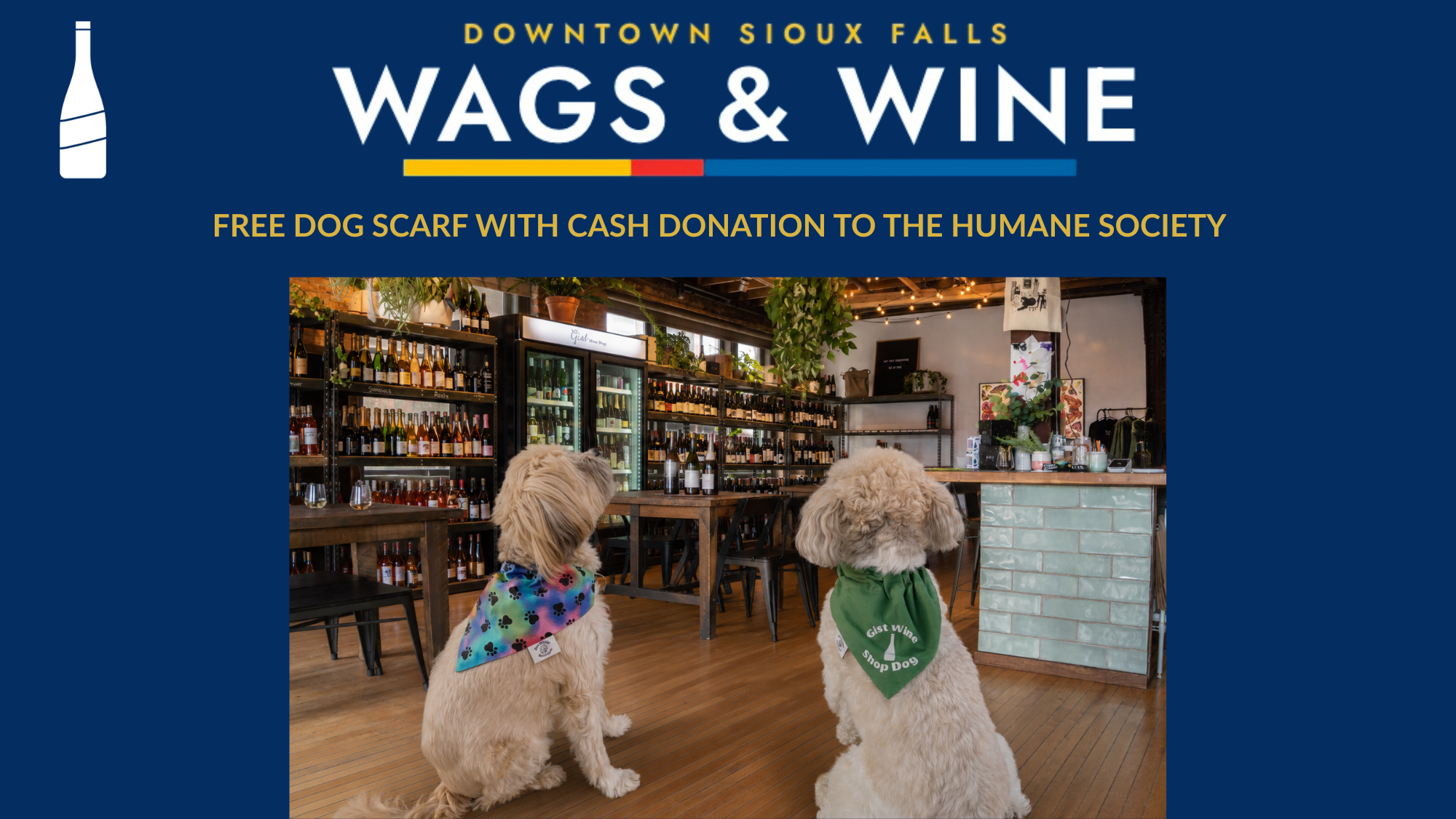 DTSF Wags &amp; Wine