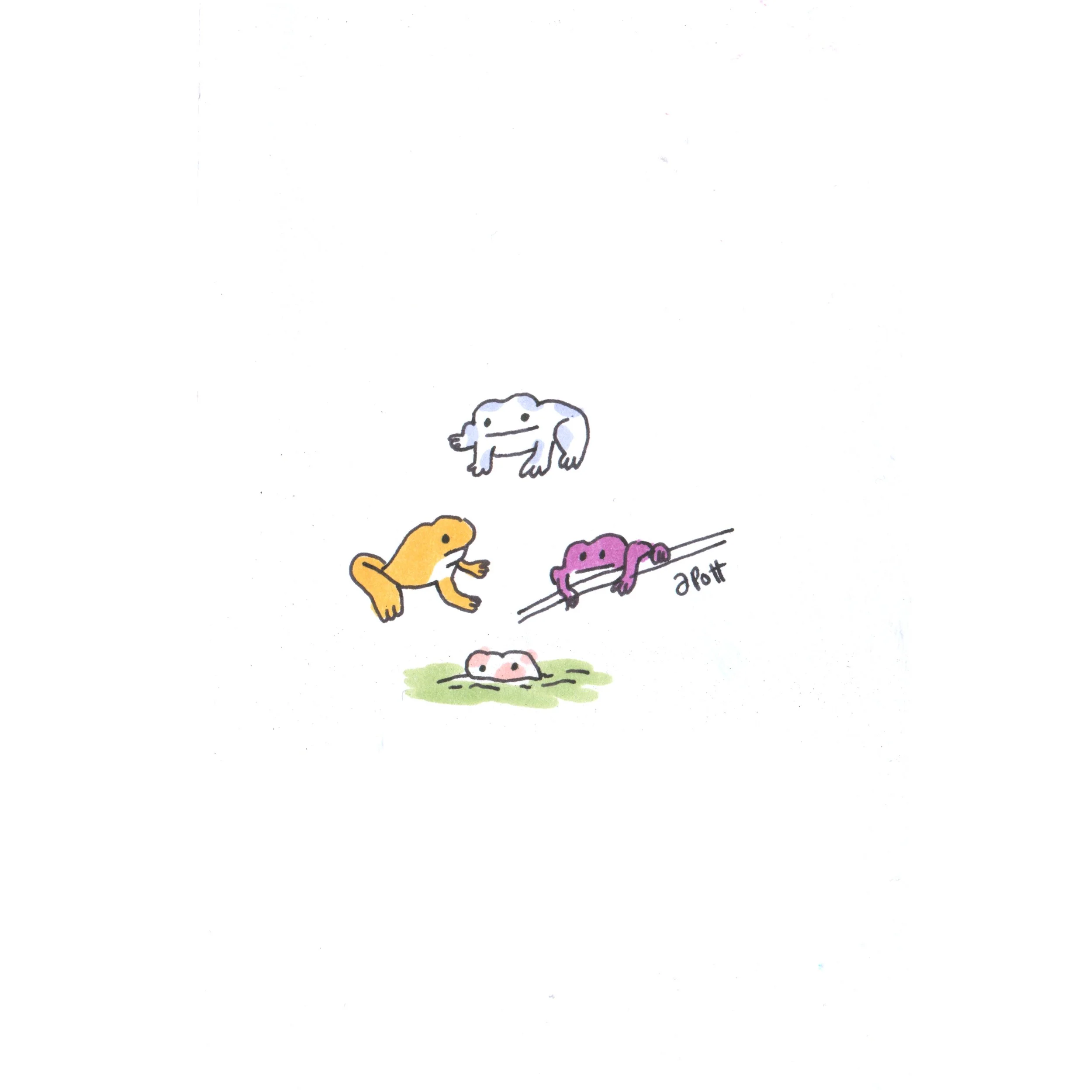006.jpg
