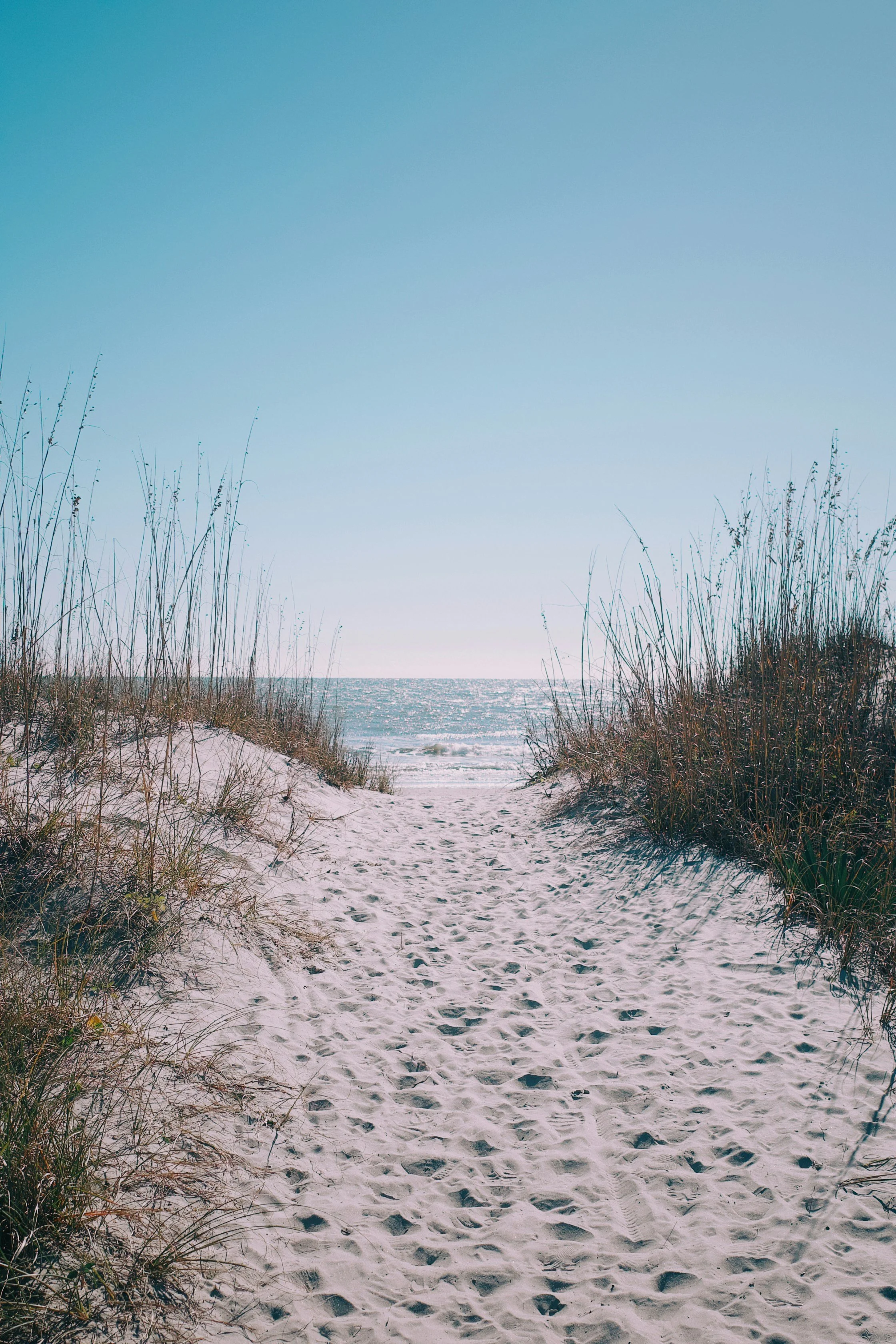 tyler-rooney-US6tR3Xxnwg-unsplash.jpg
