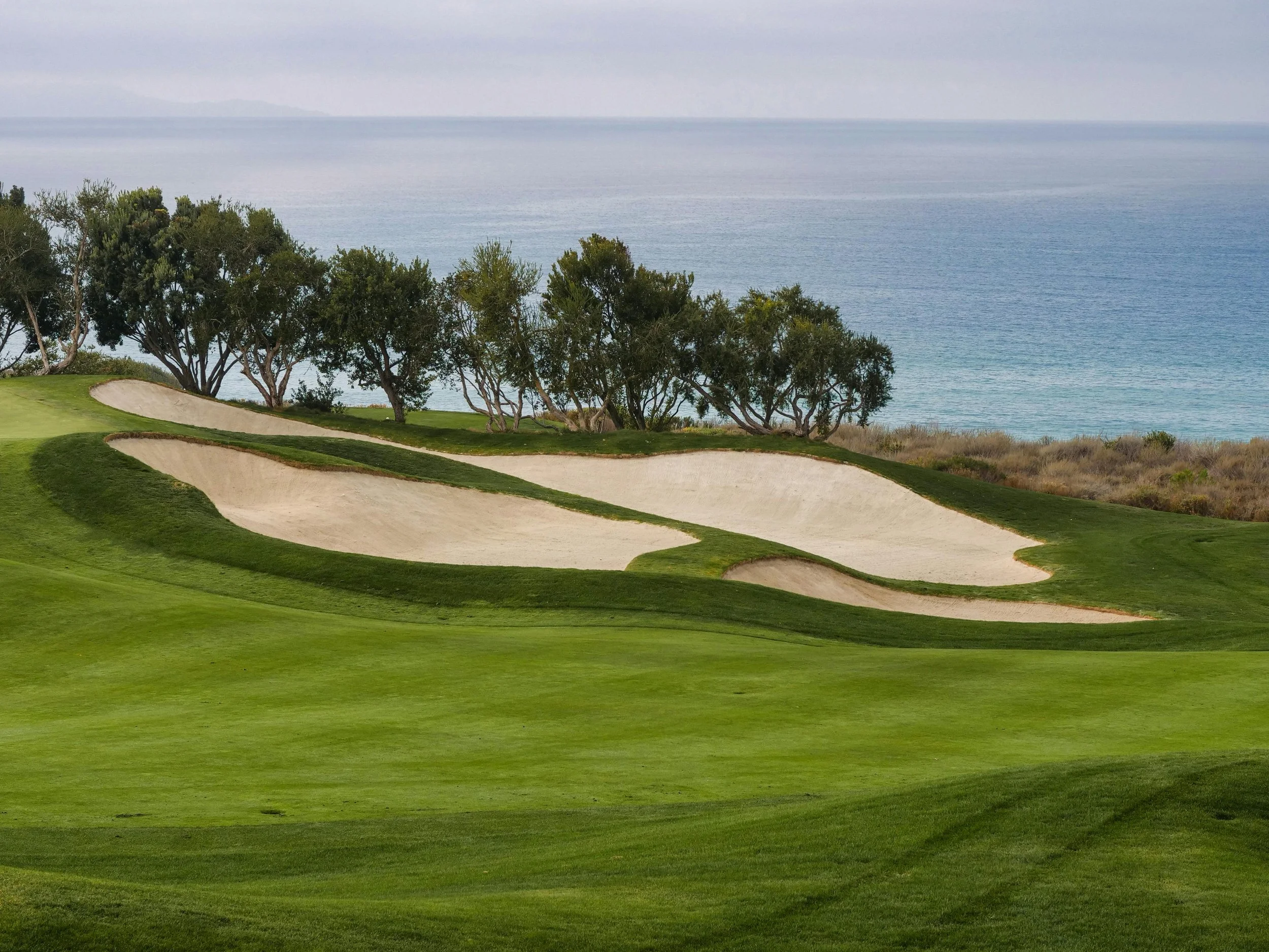 A Local’s Guide to Carlsbad Neighborhoods: Where to Stay on the Coast