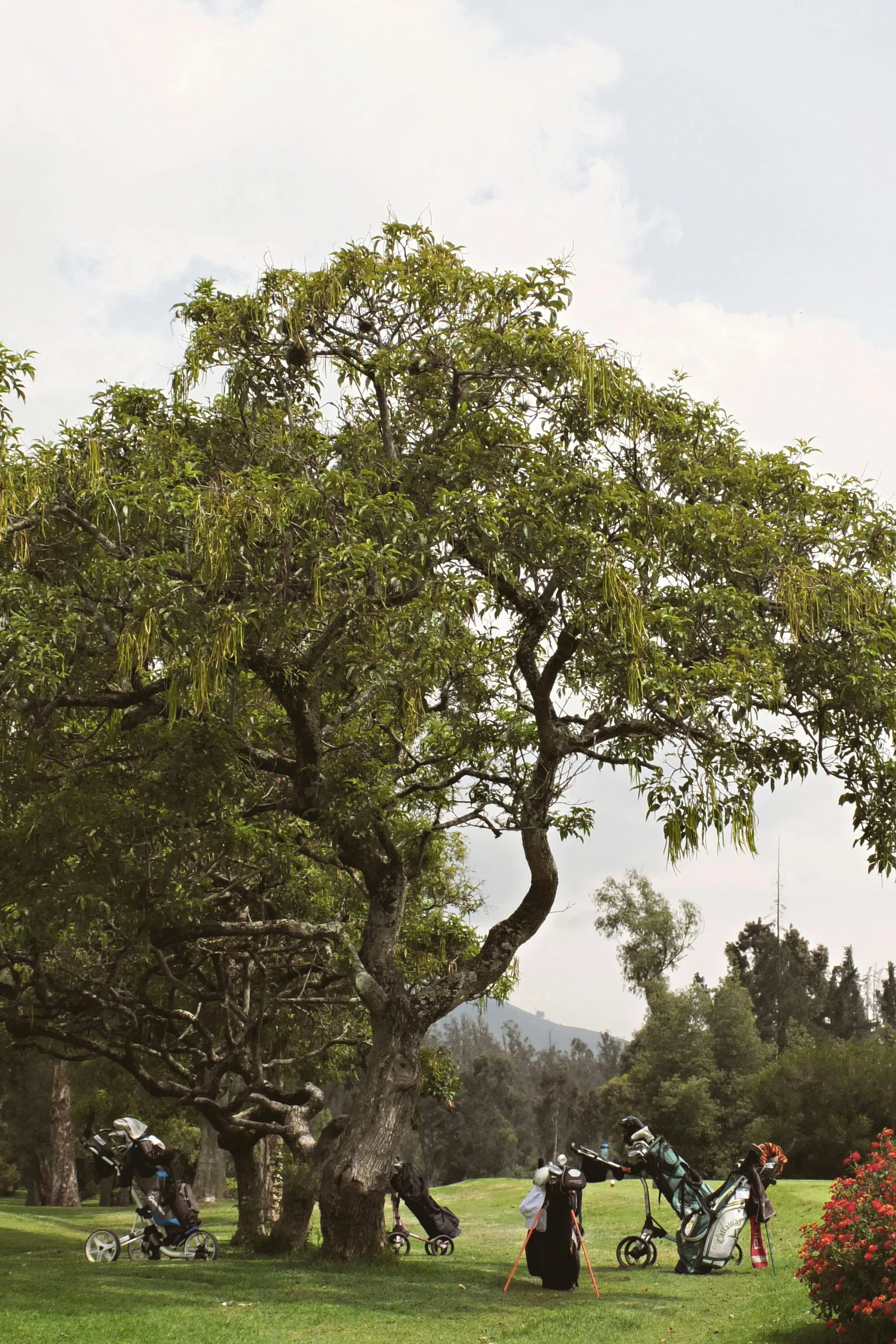 La Costa Golf Course