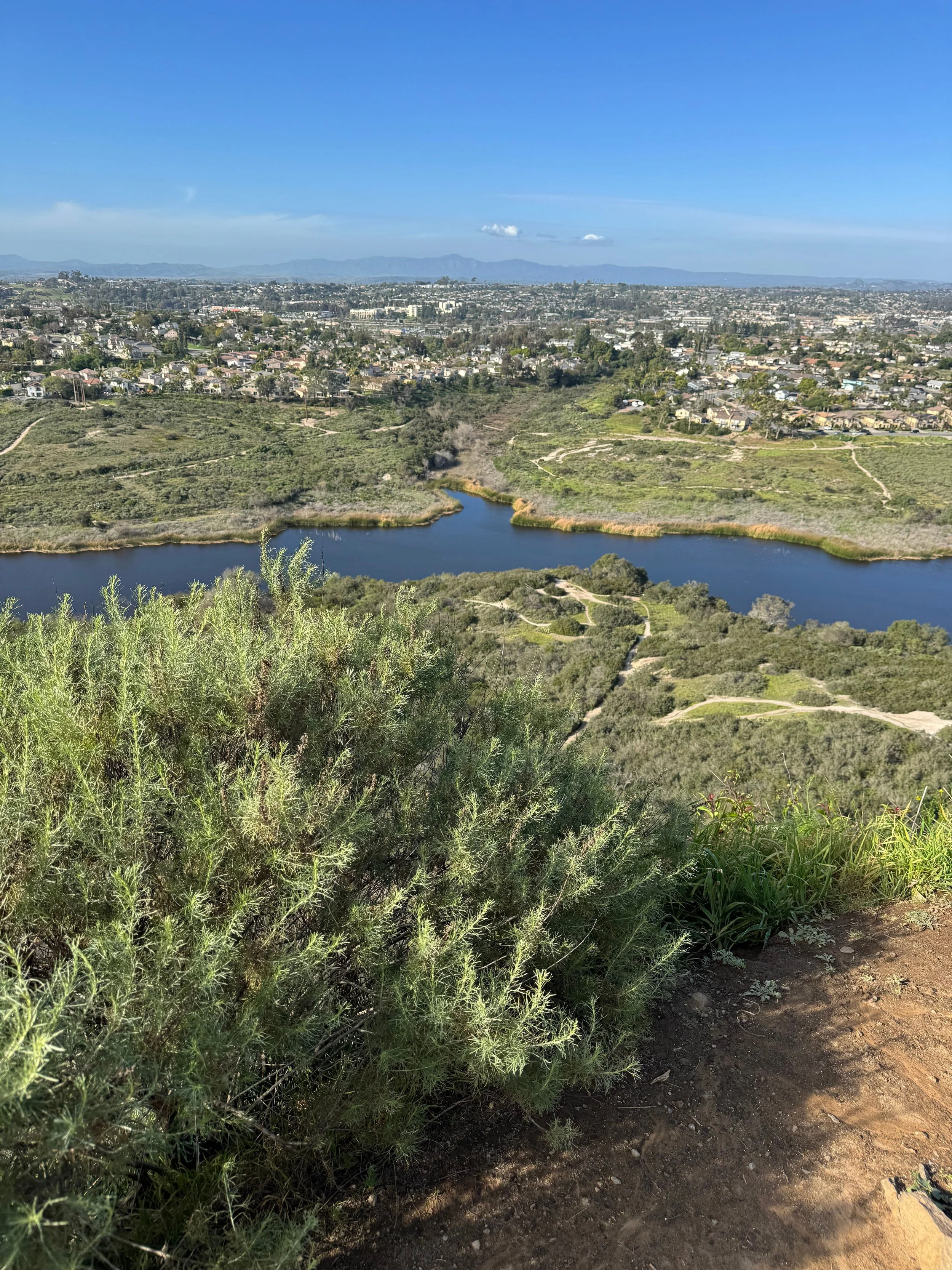 View of Buena Vista Lagoon from a hillside trail, with green wetlands, surrounding neighborhoods, and distant mountains under a clear blue sky.