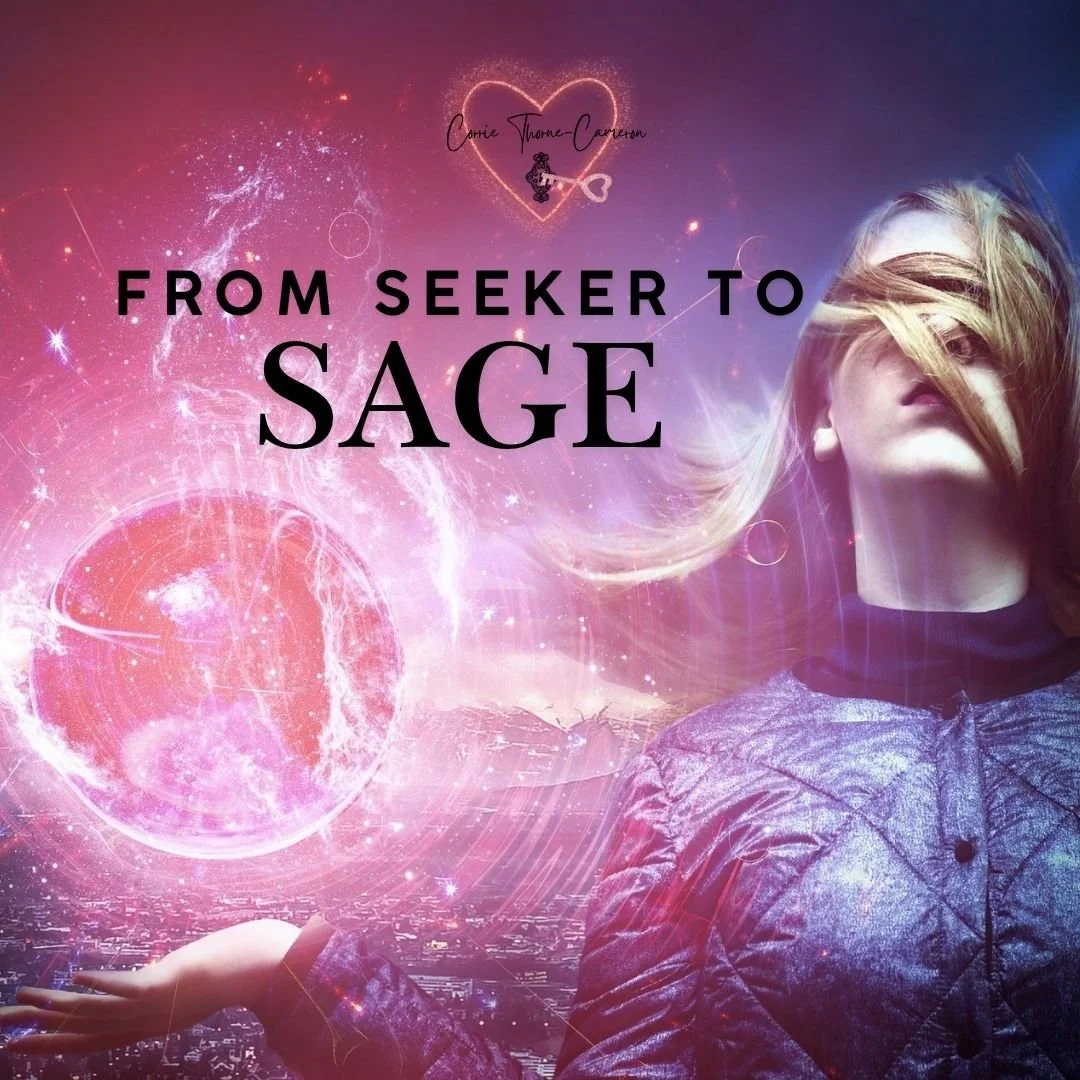 From Seeker to Sage