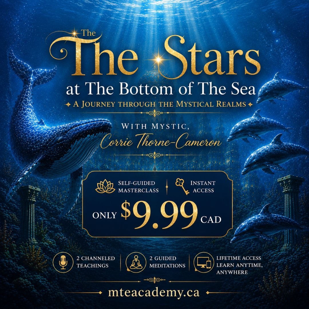 The Stars at The Bottom of The Sea
